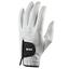 Ping Tour Leather Glove Back